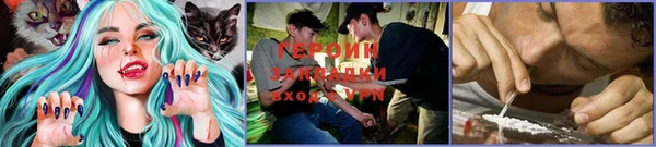 ПСИЛОЦИБИНОВЫЕ ГРИБЫ Баксан