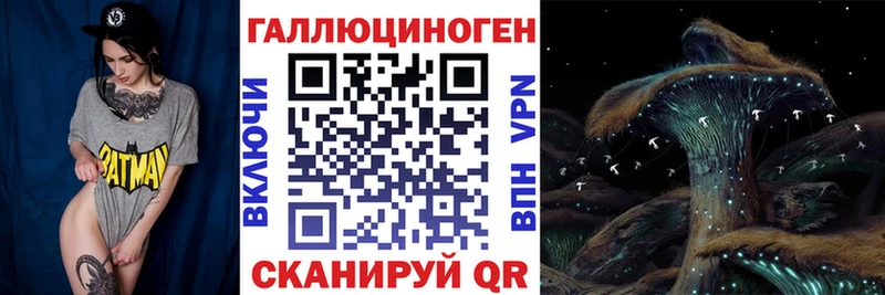 Псилоцибиновые грибы Magic Shrooms  где купить наркоту  Урус-Мартан 